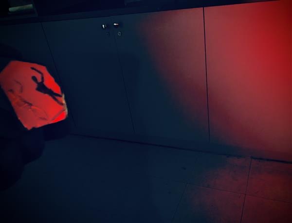 Nouveau regard : un projet de photographie en 4e arts plastiques