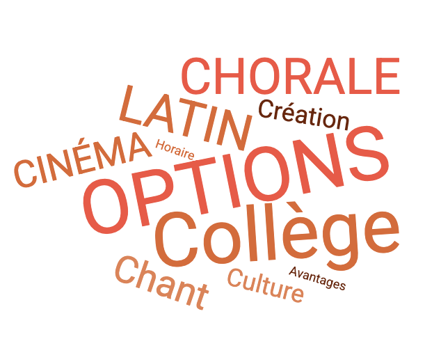 Les options au collège : une émission réalisée par les élèves d&rsquo;option cinéma 4e