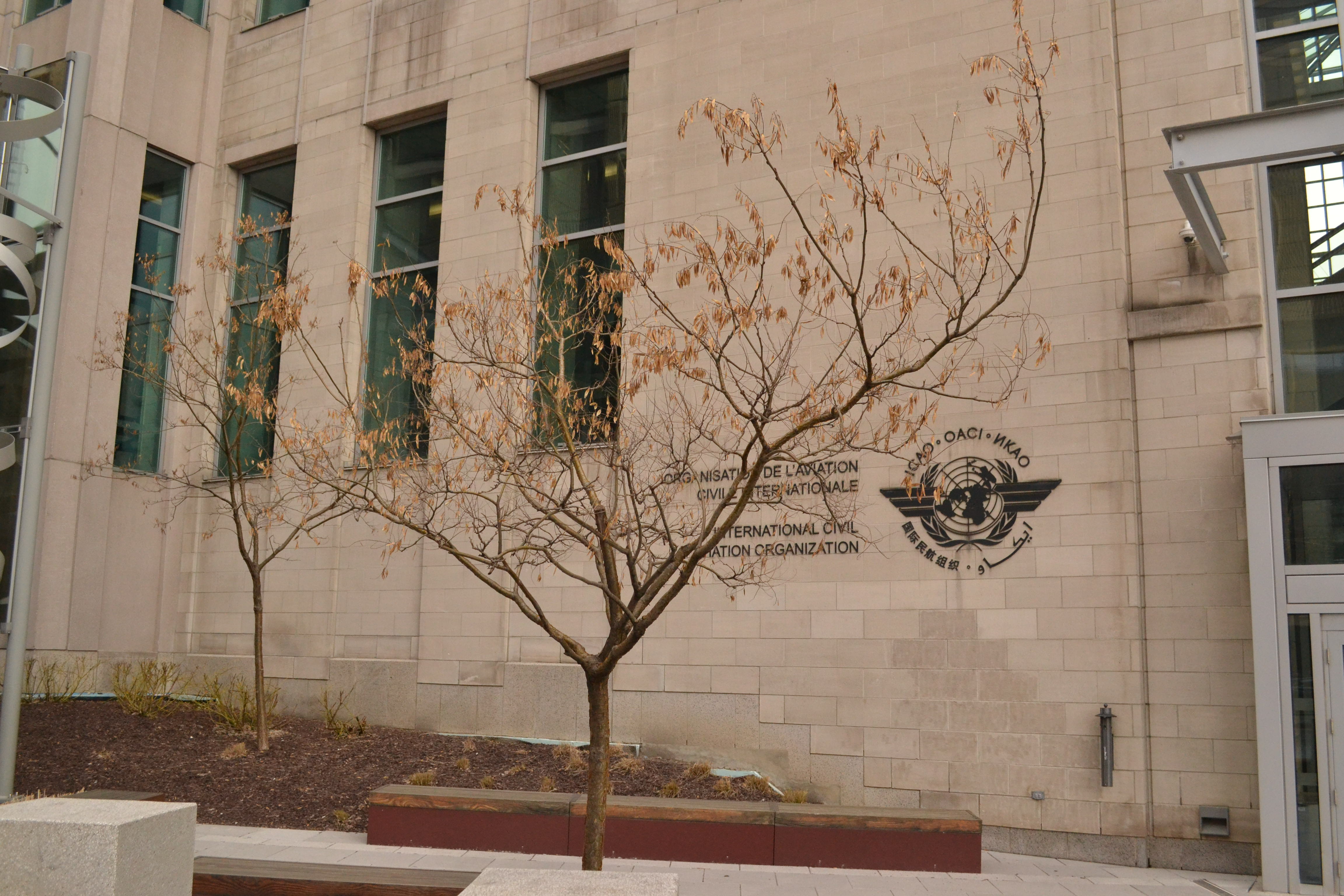 Le reportage de la Simulation ONU à l&rsquo;OACI de Mark